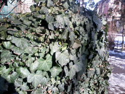 20150111_135203.jpg