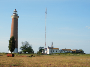 P5185775.jpg