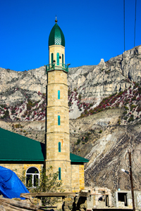 IMG_8403.jpg