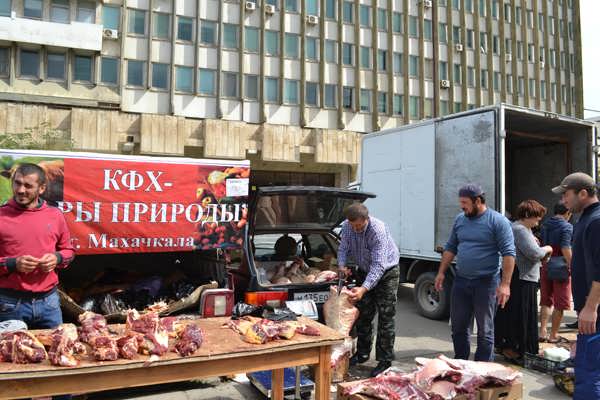 Урожай в махачкале Урожай в махачкале