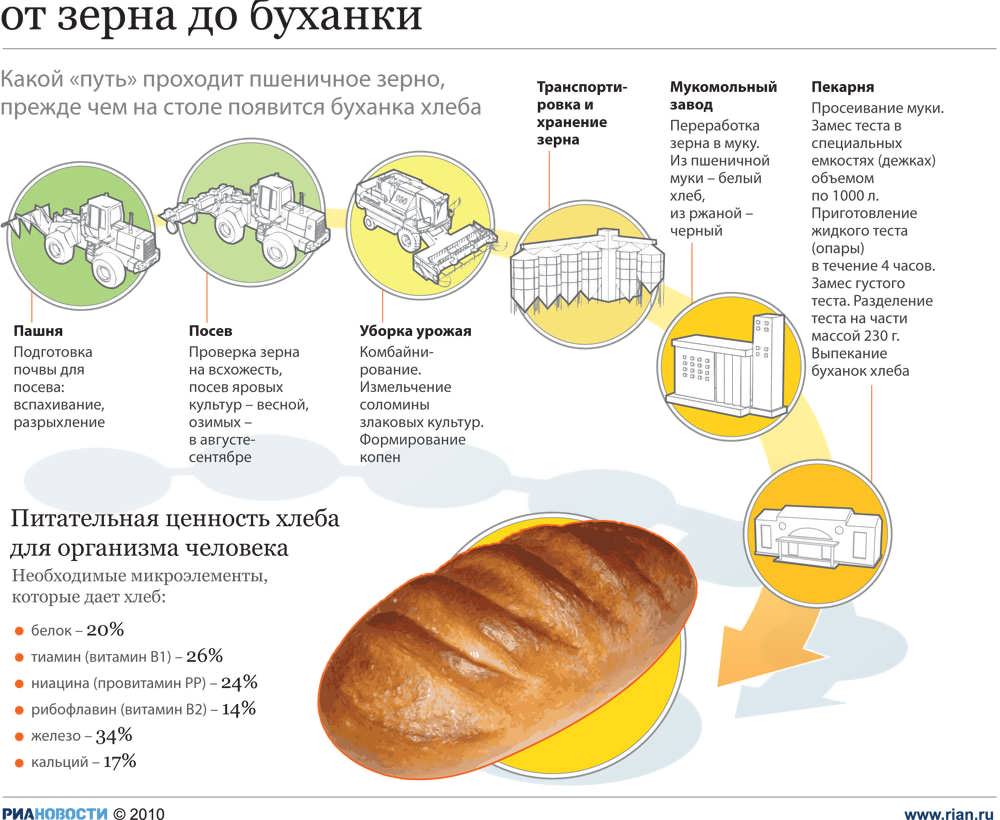 Схема этапов производства хлеба