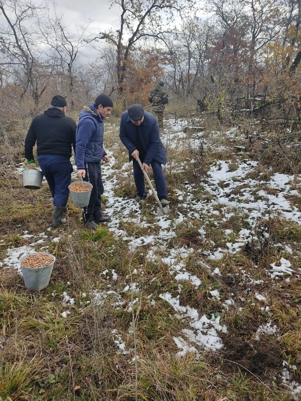 Экология дагестана проект