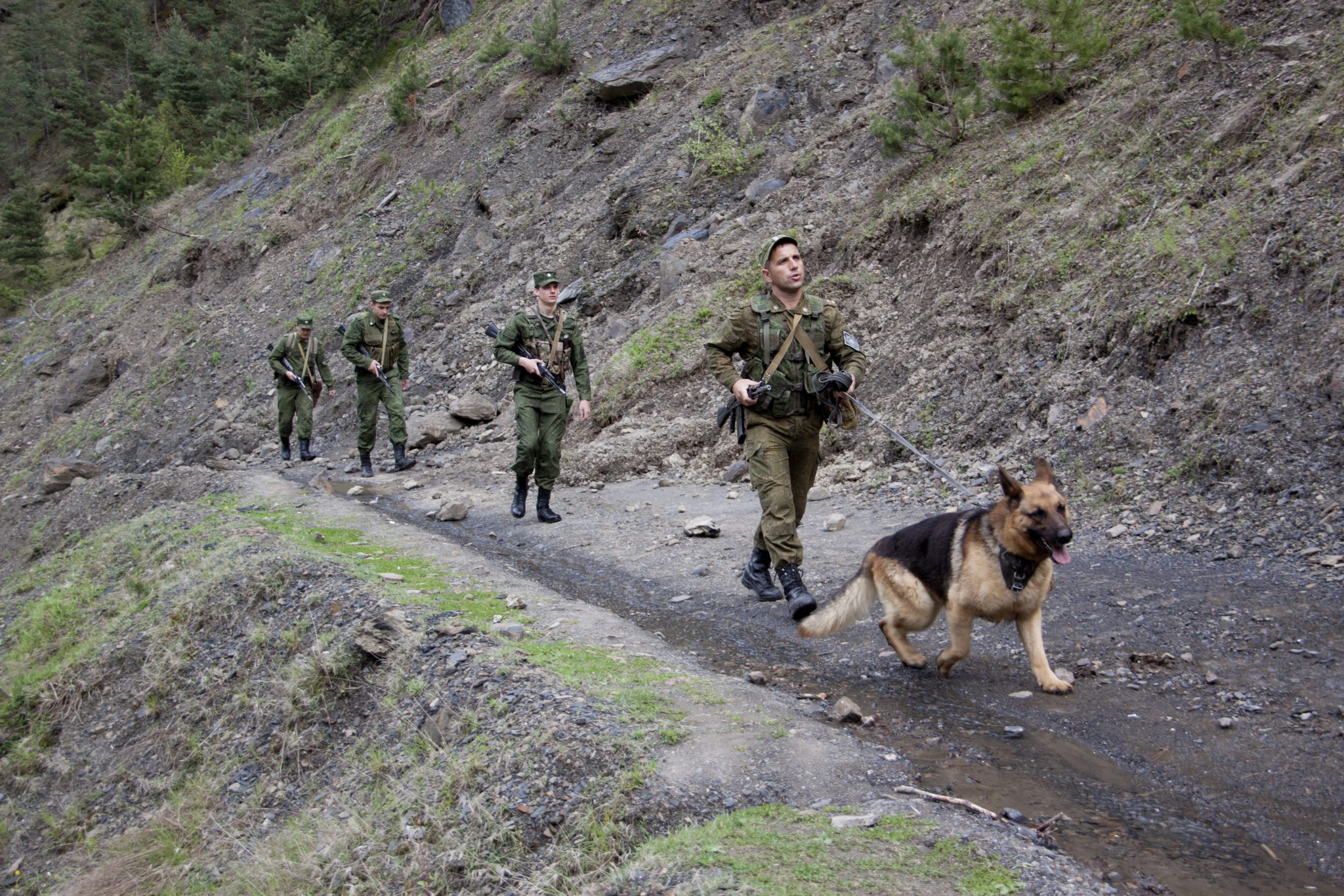 Пиксель на заставе расщепленного дерева где это