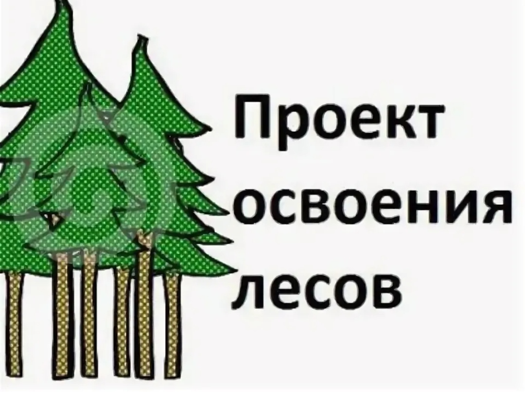 Проект освоения лесов заказать