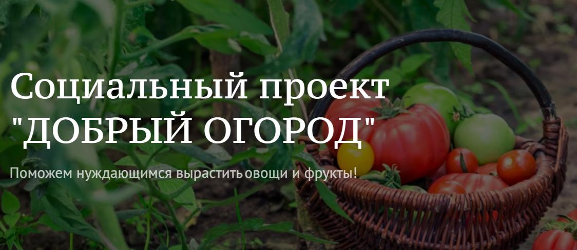 Огород 2023 года