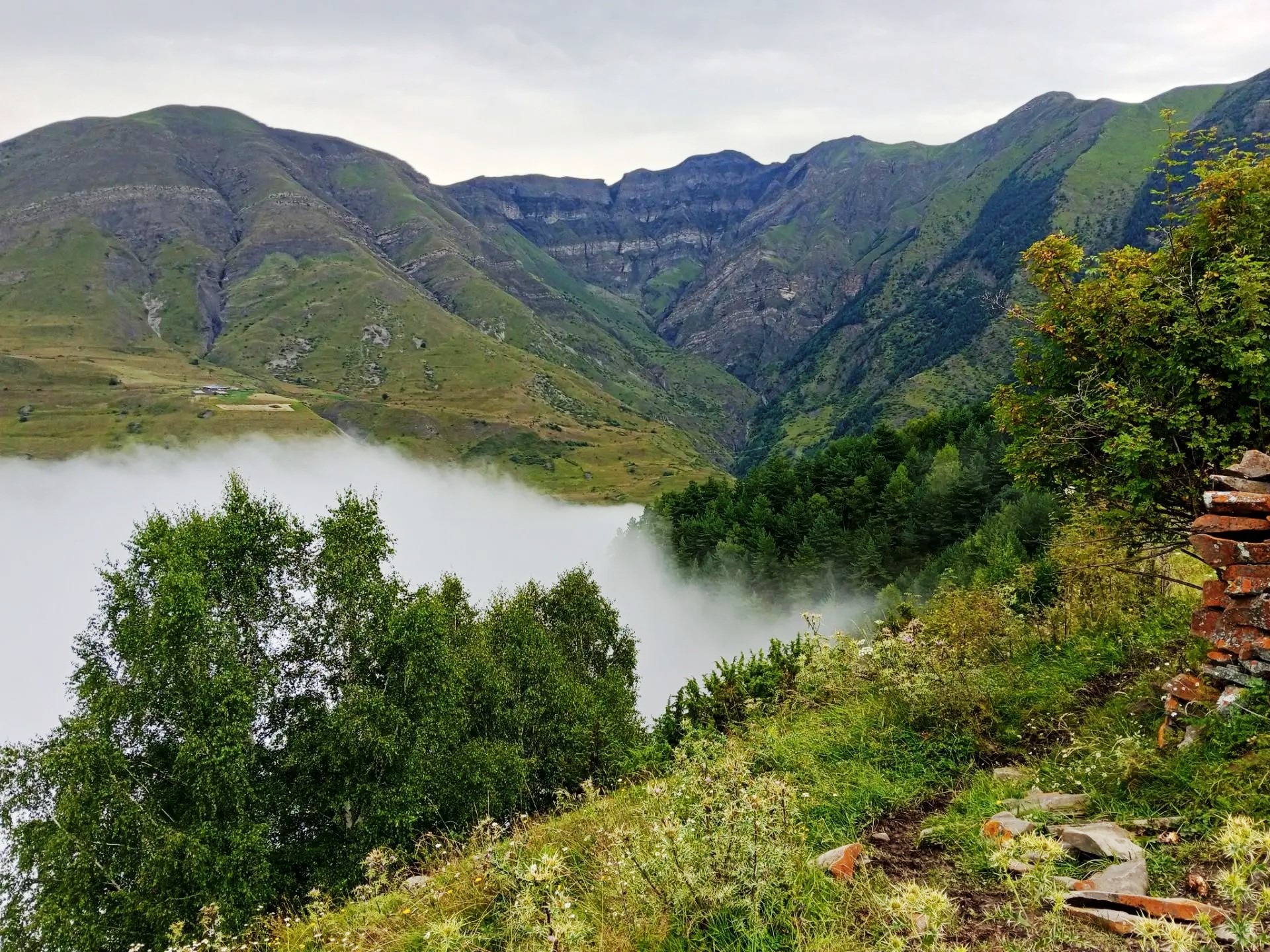 В родном краю